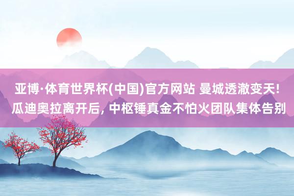 亚博·体育世界杯(中国)官方网站 曼城透澈变天! 瓜迪奥拉离开后, 中枢锤真金不怕火团队集体告别