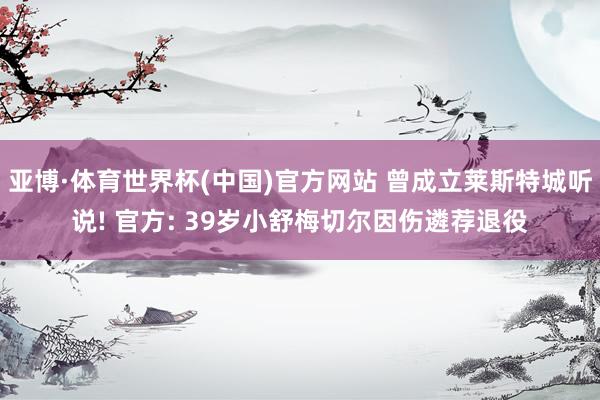 亚博·体育世界杯(中国)官方网站 曾成立莱斯特城听说! 官方: 39岁小舒梅切尔因伤遴荐退役