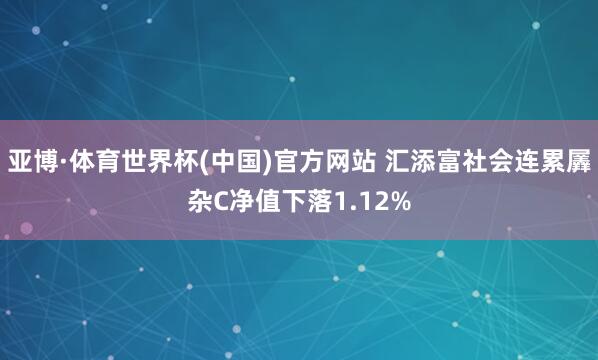 亚博·体育世界杯(中国)官方网站 汇添富社会连累羼杂C净值下落1.12%