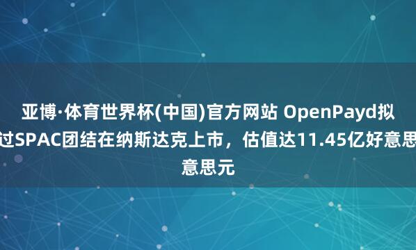 亚博·体育世界杯(中国)官方网站 OpenPayd拟通过SPAC团结在纳斯达克上市,估值达11.45亿好意思元