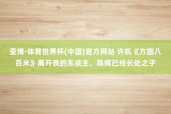 亚博·体育世界杯(中国)官方网站 许凯《方圆八百米》离开丧的东谈主,陈辉已经长处之子