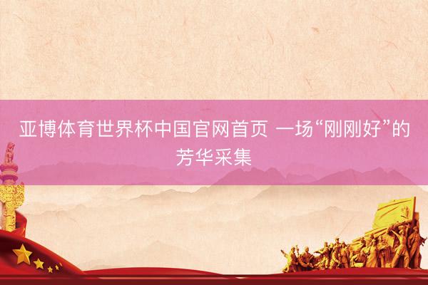 亚博体育世界杯中国官网首页 一场“刚刚好”的芳华采集