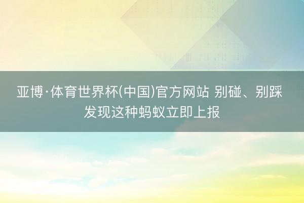 亚博·体育世界杯(中国)官方网站 别碰、别踩 发现这种蚂蚁立即上报